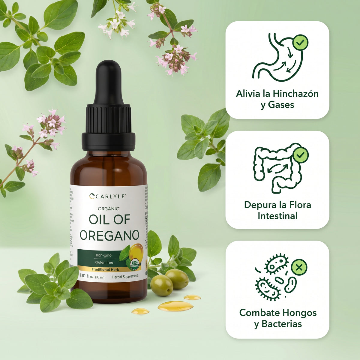 Aceite De Orégano Orgánico, 70% Carvacrol Y Timol