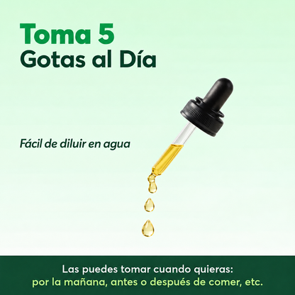 Aceite De Orégano Orgánico, 70% Carvacrol Y Timol